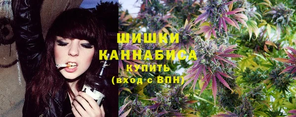 PSILOCYBIN Остров
