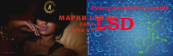 PSILOCYBIN Остров