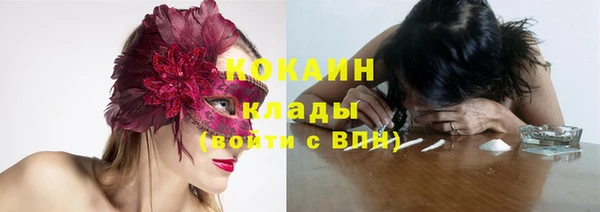 сатива Пересвет