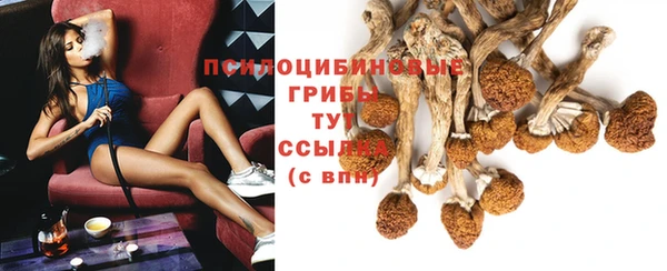 гидропоника Няндома