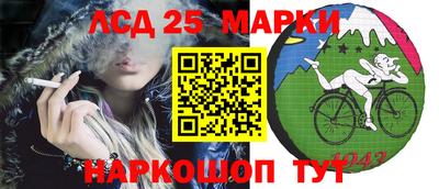 гидропоника Будённовск