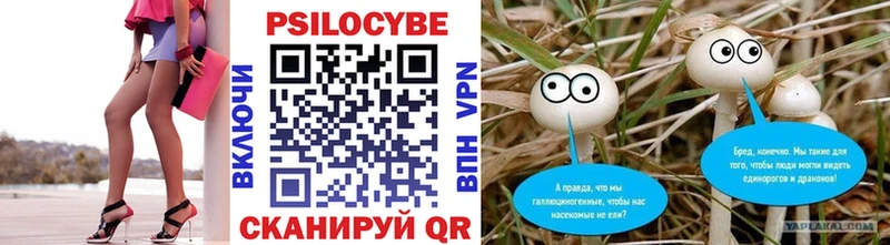 Псилоцибиновые грибы Cubensis  Луга 