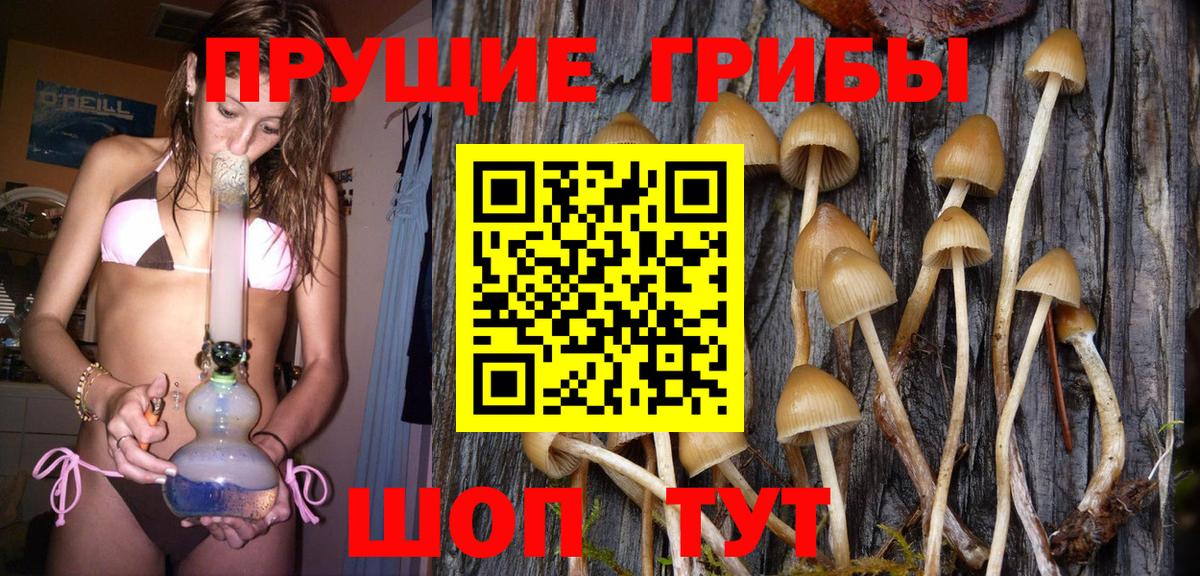 магазин продажи наркотиков  Вход с VPN  Псилоцибиновые грибы GOLDEN TEACHER  Луга  Псилоцибиновые грибы ЛСД 