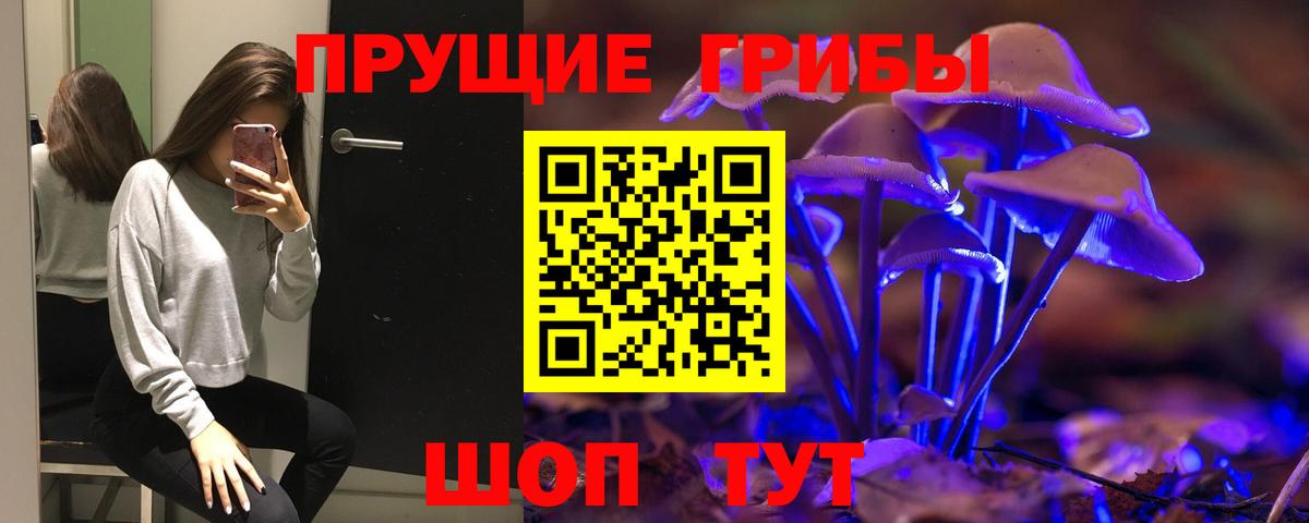 Псилоцибиновые грибы Cubensis  Псилоцибиновые грибы Psilocybe  Луга 